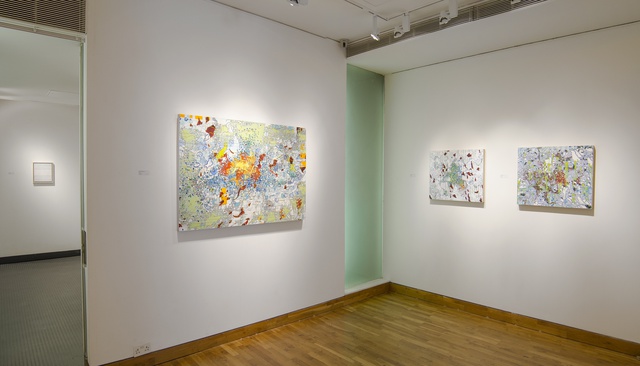 THE NATURE OF WOMEN Installation View